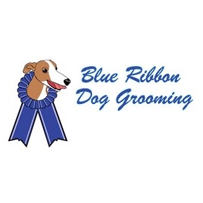 blue ribbon pet grooming